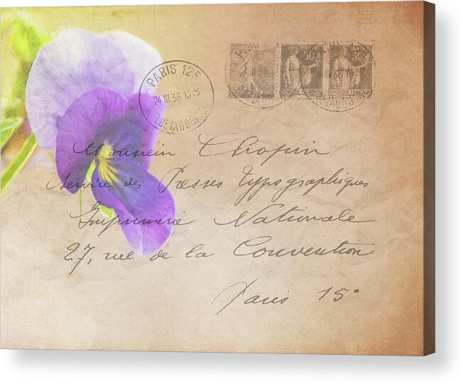 Pansy Acrylic Print featuring the photograph Pansy Postcard by Cathy Kovarik