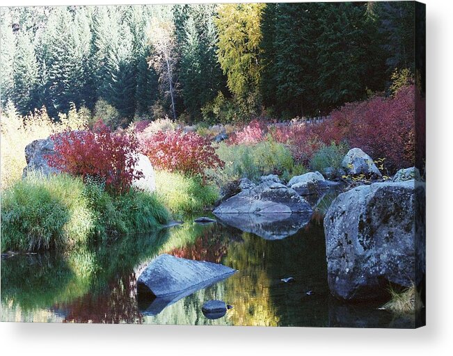 Autumn Acrylic Print featuring the photograph Pastel perfection III by Frank Larkin