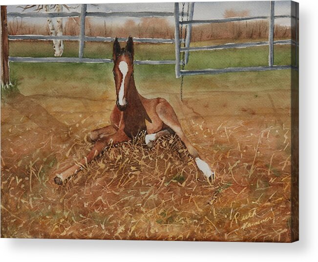 Colt Acrylic Print featuring the painting Pavlo's First Day by Ruth Kamenev