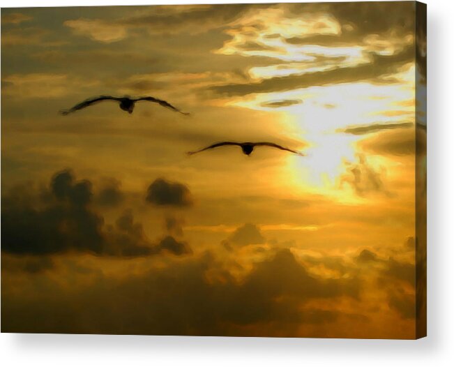 Pelican Acrylic Print featuring the painting Pelican Flight into the Clouds by Michael Thomas