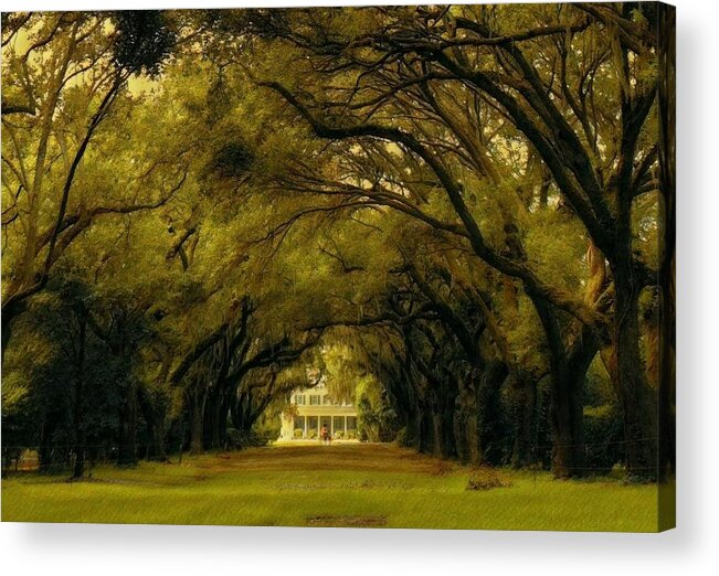 Charleston Acrylic Print featuring the photograph Perplexing Plantation by Sherry Kuhlkin