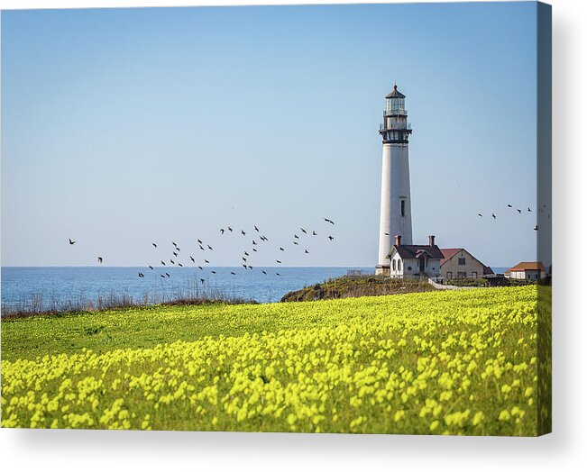 Pigeon Point Light Station Acrylic Print featuring the photograph Pigeon Point Light Station Historic Park by Donnie Whitaker