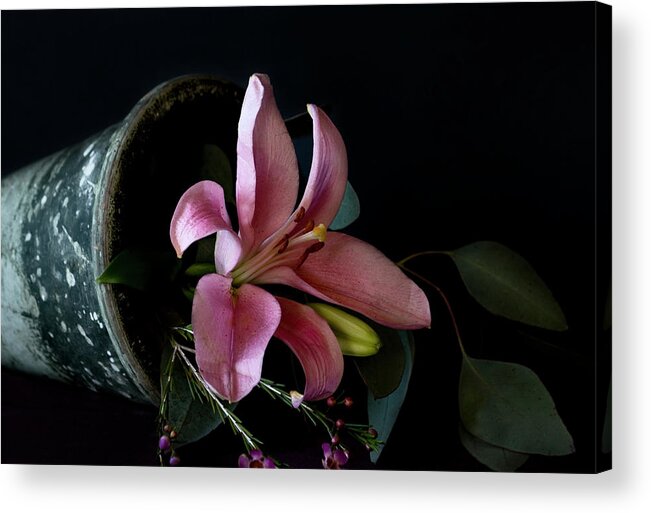 Arrangement Acrylic Print featuring the photograph Pink Lily by Cheryl Day
