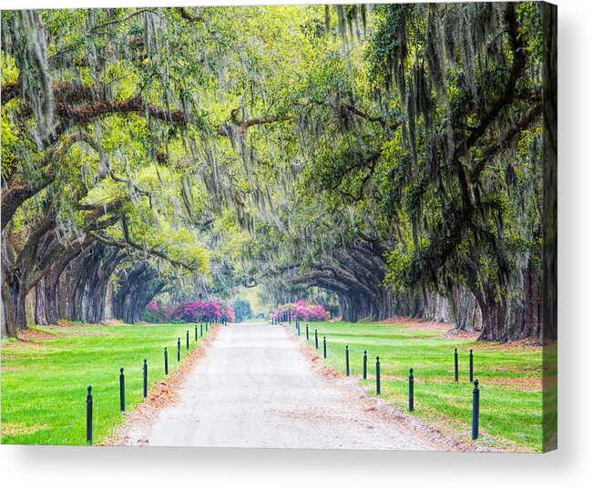 Mt. Pleasant Acrylic Print featuring the photograph Plantation by Eggers Photography