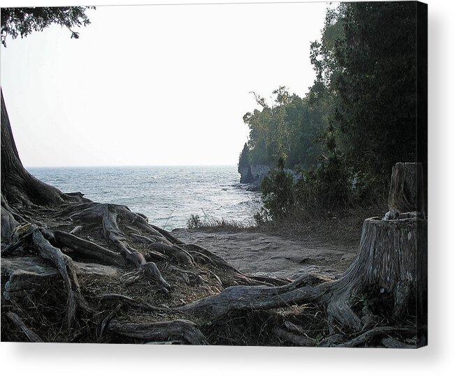 Door County Acrylic Print featuring the photograph Planted by Terence McSorley