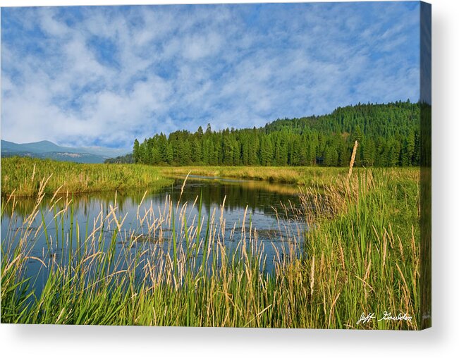 Beauty In Nature Acrylic Print featuring the photograph Plummer Creek Marsh by Jeff Goulden