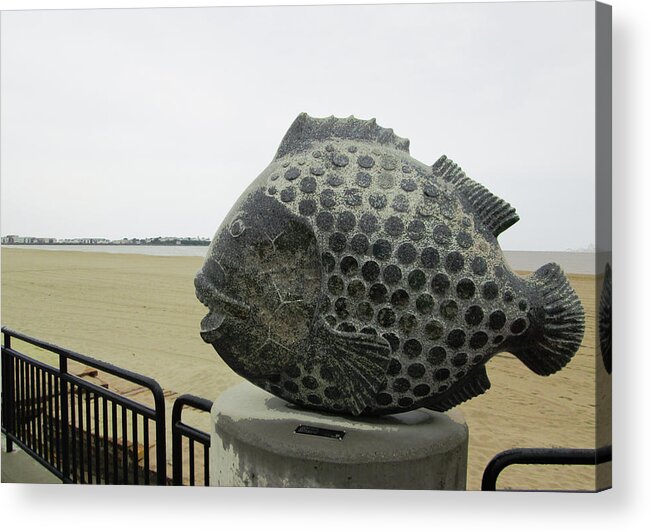 Fish Acrylic Print featuring the photograph Polka Dotted Fish Sculpture by Mary Capriole