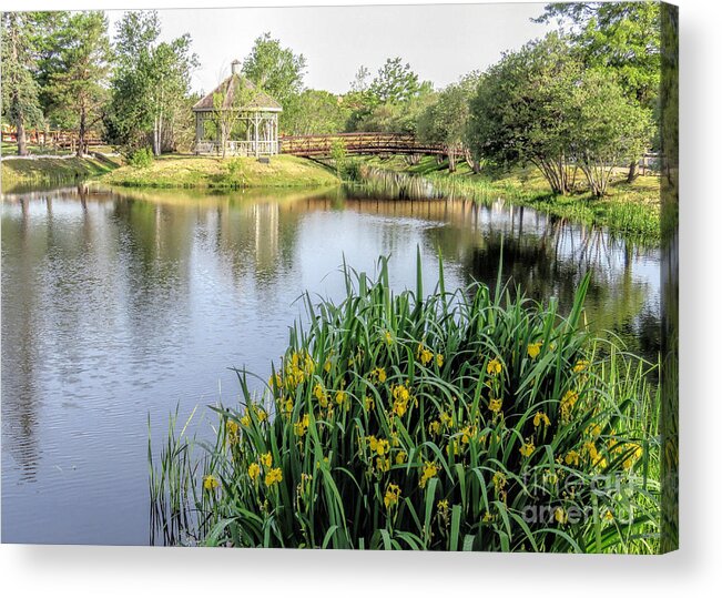 Plymouth Cordage Co Acrylic Print featuring the photograph Pond and Gazebo at Cordage Park  by Janice Drew