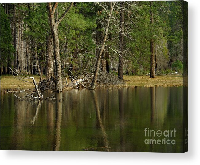 Landscape Acrylic Print featuring the photograph Pond Reflection by Marc Bittan