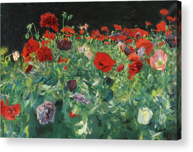 John Singer Sargent Acrylic Print featuring the painting Poppies. A Study of Poppies for Carnation Lily Lily Rose by John Singer Sargent