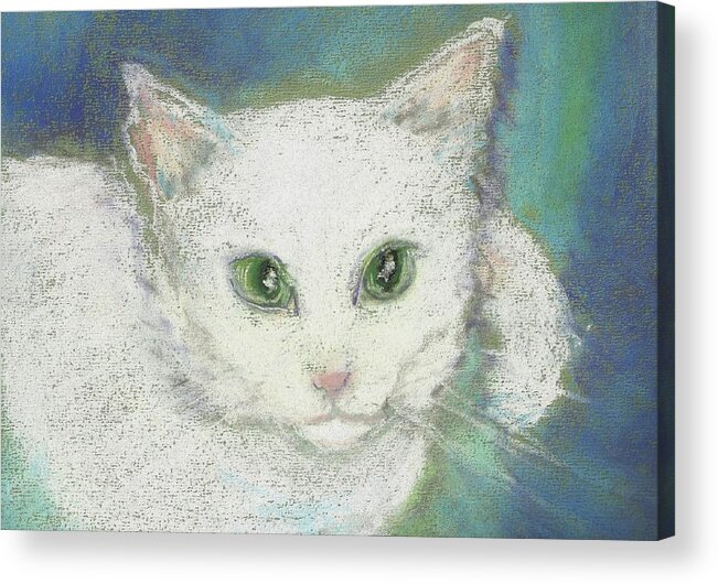Cat Acrylic Print featuring the drawing Portrait of Misty by Denise F Fulmer