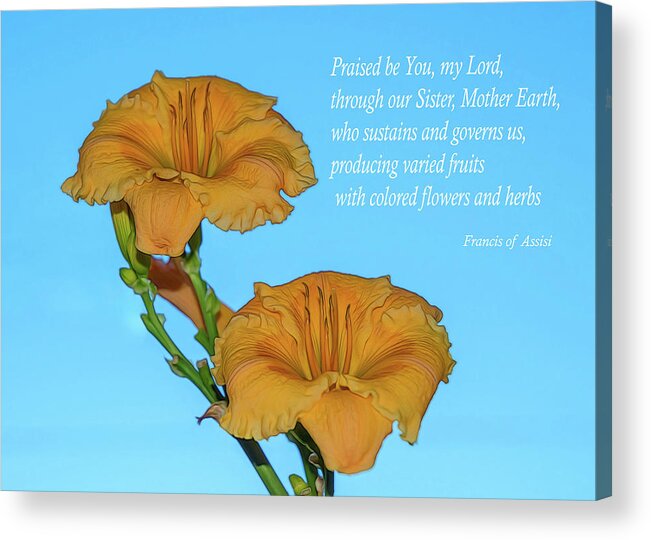 Notecard Acrylic Print featuring the photograph Praise by Cathy Kovarik