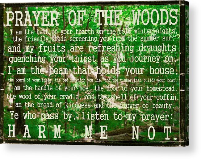 Prayer Acrylic Print featuring the photograph Prayer of the Woods 2.0 by Michelle Calkins