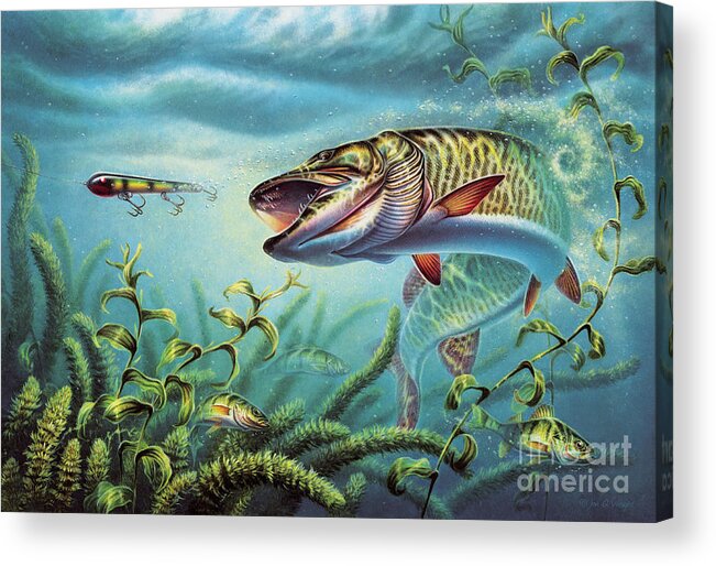Muskie Acrylic Print featuring the painting Provoked Musky by JQ Licensing