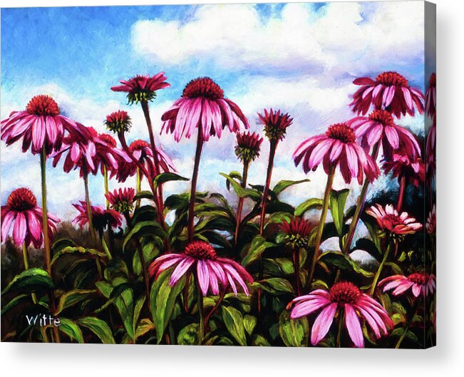 Flowers Acrylic Print featuring the painting Purple Coneflowers by Marie Witte
