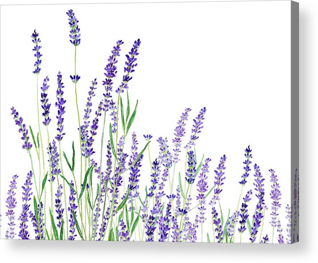 Purple Lavender Horizontal Watercolor Tote Bag by Color Color - Fine Art  America