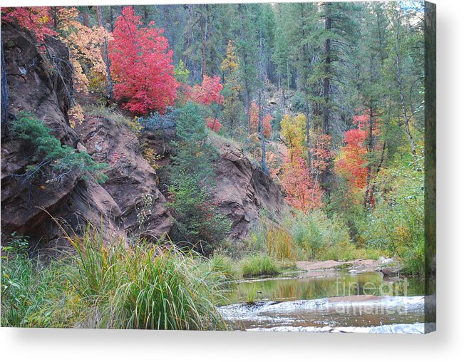 Sedona Acrylic Print featuring the photograph Rainbow of the Season with River by Heather Kirk