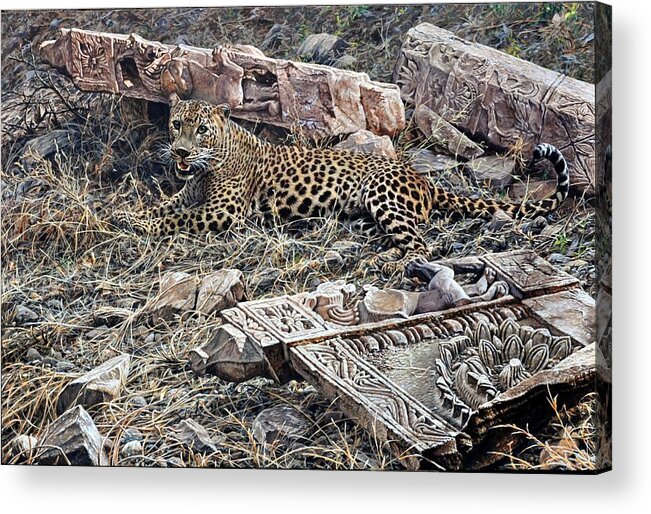 Wildlife Paintings Acrylic Print featuring the painting Ranthambore Apparition by Alan M Hunt