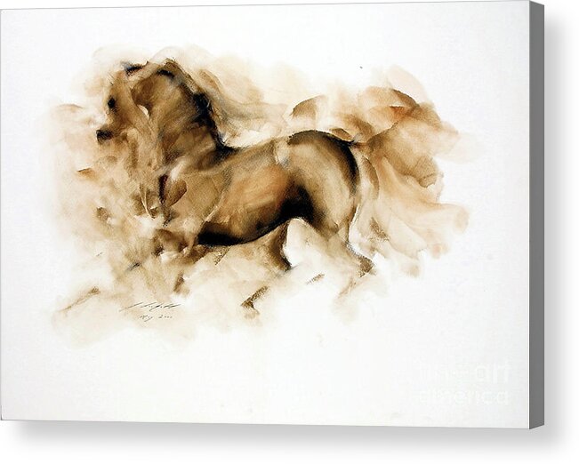Equestrian Painting Acrylic Print featuring the painting Rasool by Janette Lockett