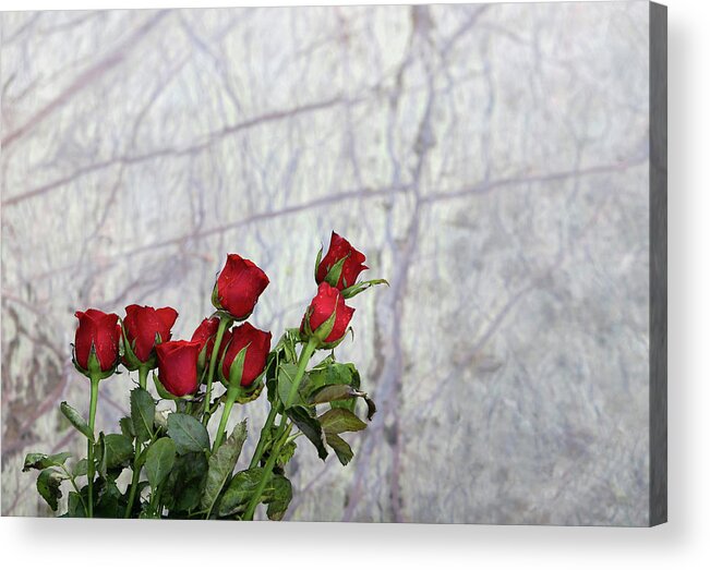 Minimal Acrylic Print featuring the photograph Red Rose Flowers by Prakash Ghai