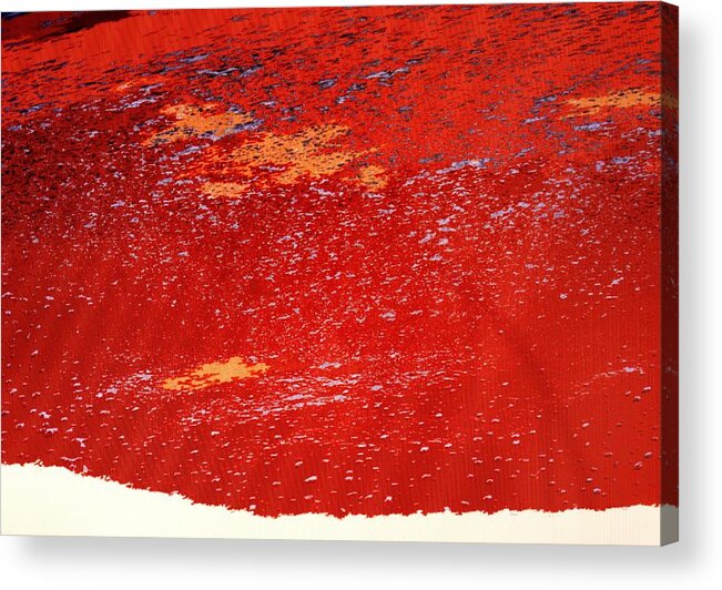 Red Acrylic Print featuring the photograph Red Surf on the Beach by Ian MacDonald