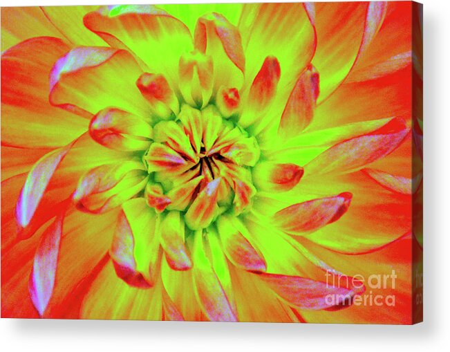 Backgrounds Acrylic Print featuring the photograph Red Whirl by Brian O'Kelly
