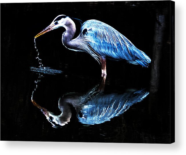 Great Blue Heron Acrylic Print featuring the photograph Reflections of a Great Blue Heron #1 by Mindy Musick King