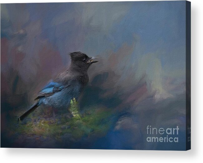 Steller's Jay Acrylic Print featuring the painting Rhapsody In Blue by Eva Lechner