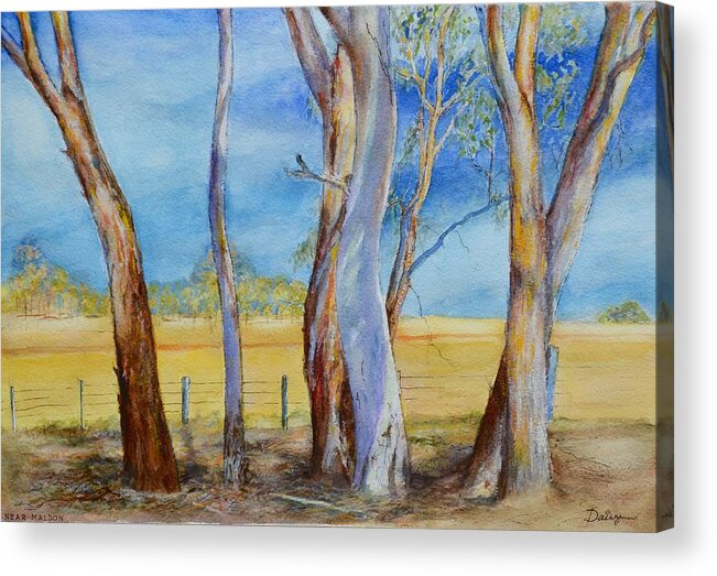 Gums Acrylic Print featuring the painting Roadside Eucalyptus Trees near Maldon by Dai Wynn