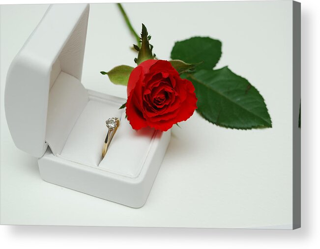 Valentine Acrylic Print featuring the photograph Rose and Diamond Ring by Terence Davis