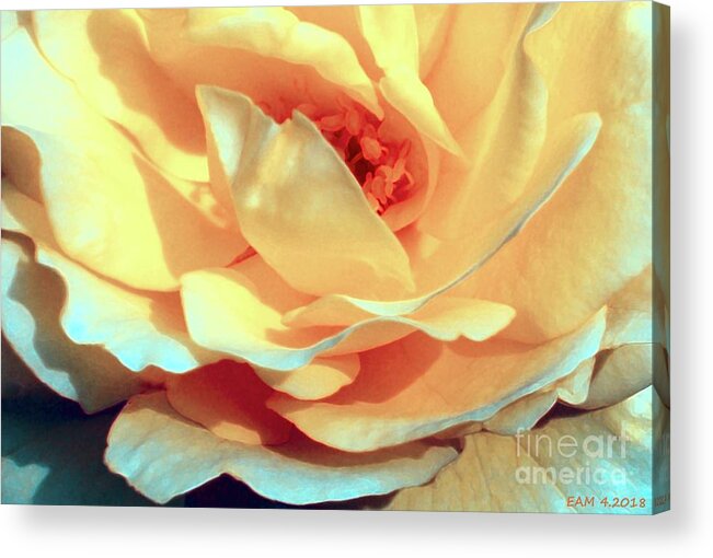 Rose Acrylic Print featuring the digital art Rose / Summer Sky by Elizabeth McTaggart
