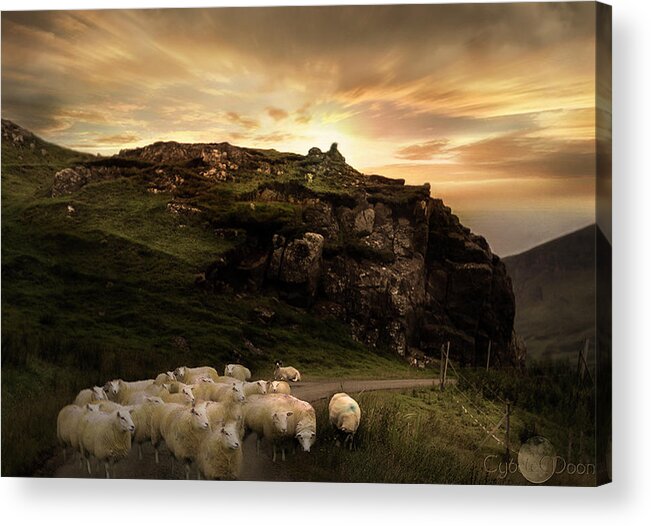  Acrylic Print featuring the photograph rush hour on the Isle of Skye by Cybele Moon
