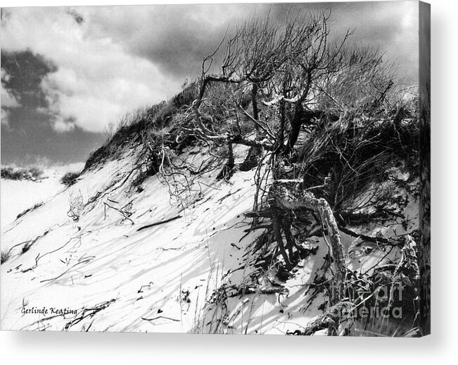 Black-white Acrylic Print featuring the photograph Sand Dune #2 by Gerlinde Keating