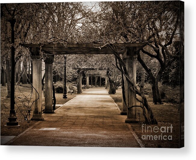 Passage Acrylic Print featuring the photograph Safe Passage by Onedayoneimage Photography