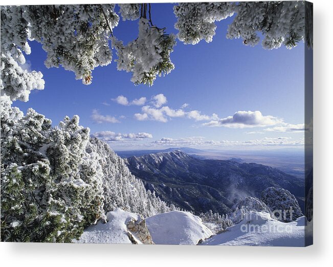 Sandia Mountain Wilderness Area Acrylic Print featuring the photograph Sandia Mountain Wilderness- New Mexico by Kevin Shields