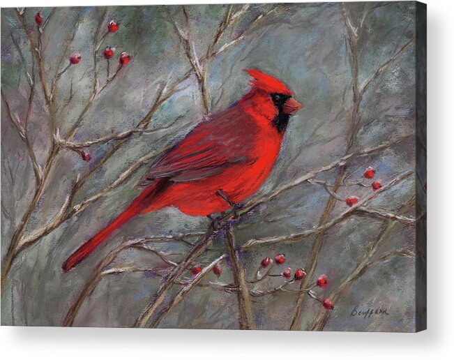 Cardinal Acrylic Print featuring the pastel Scarlet Sentinel by Vikki Bouffard
