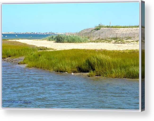 Art For Living Roo Acrylic Print featuring the photograph Scenic Cape Cod by Sonali Gangane