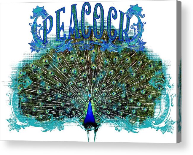 Peacock Acrylic Print featuring the painting Scroll Swirl Art Deco Nouveau Peacock w Tail Feathers Spread by Audrey Jeanne Roberts