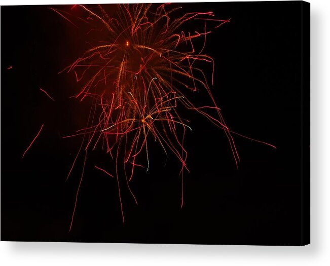 Seaworld Acrylic Print featuring the photograph SeaWorld Fireworks 4 by Phyllis Spoor