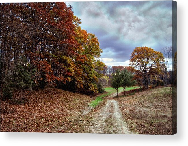Autumn Acrylic Print featuring the photograph Seldom Traveled 0609 by Michael Peychich