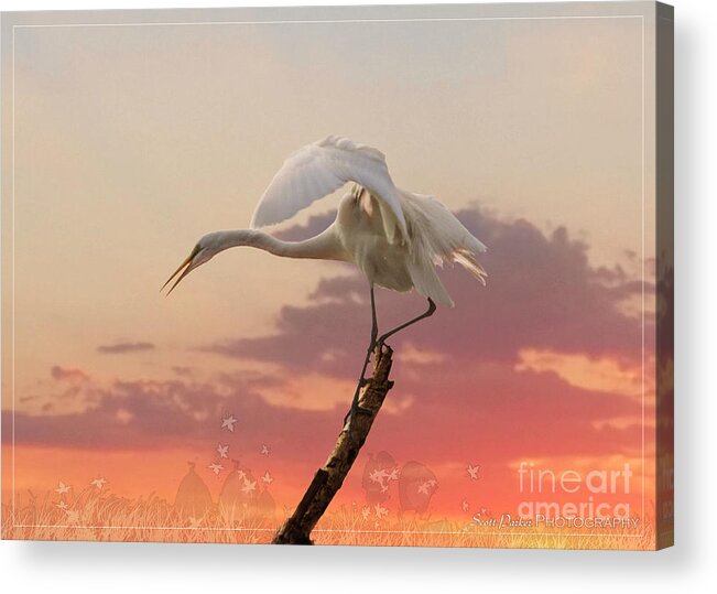 Artworks And Abstracts Acrylic Print featuring the photograph Sepulveda Basin Crane 2 by Scott Parker