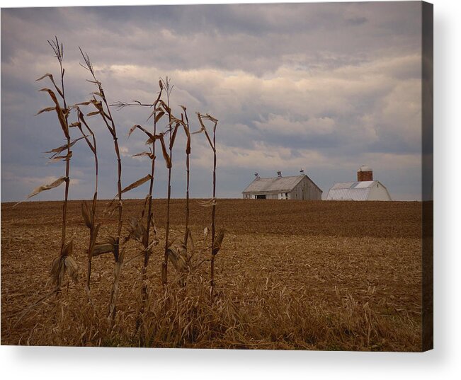 Farm Acrylic Print featuring the photograph Seven by Bob Geary