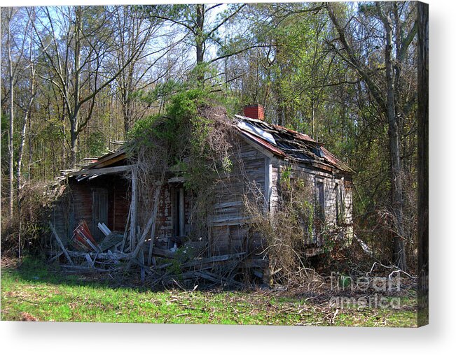 Nature Acrylic Print featuring the photograph Shack In The Wood by Skip Willits