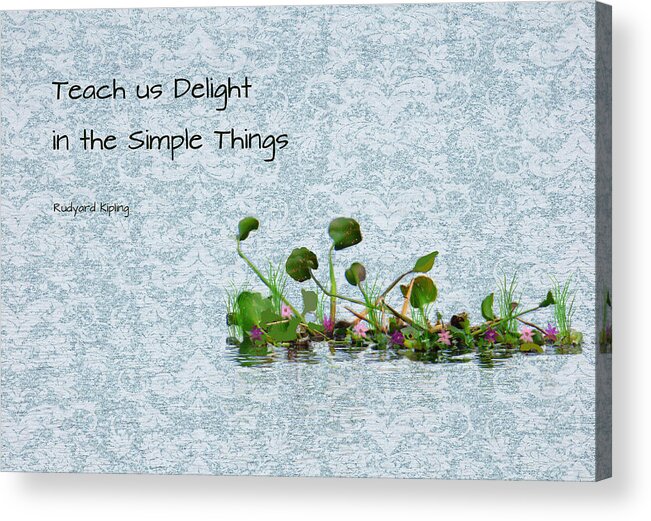 Plants Acrylic Print featuring the mixed media Simple Things by Rosalie Scanlon