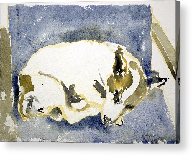  Acrylic Print featuring the painting Sleeping Dog by Kathleen Barnes