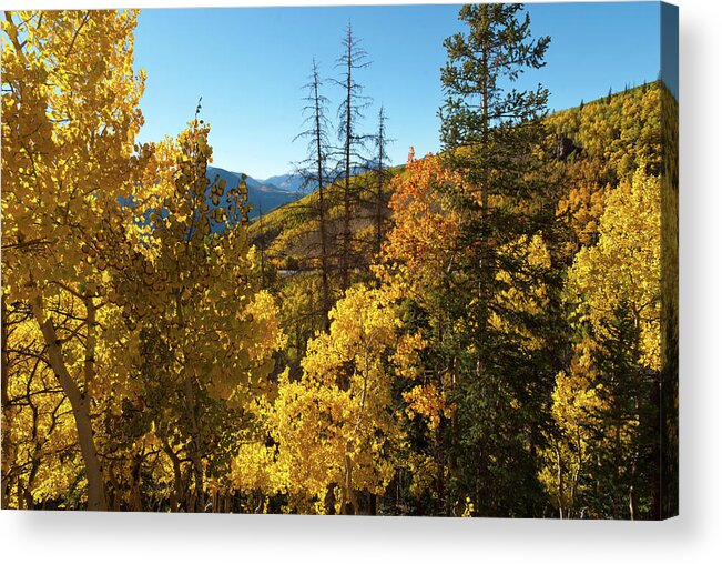 Slumgullion Pass Acrylic Print featuring the photograph Slumgullion Pass Autumn Landscape by Cascade Colors