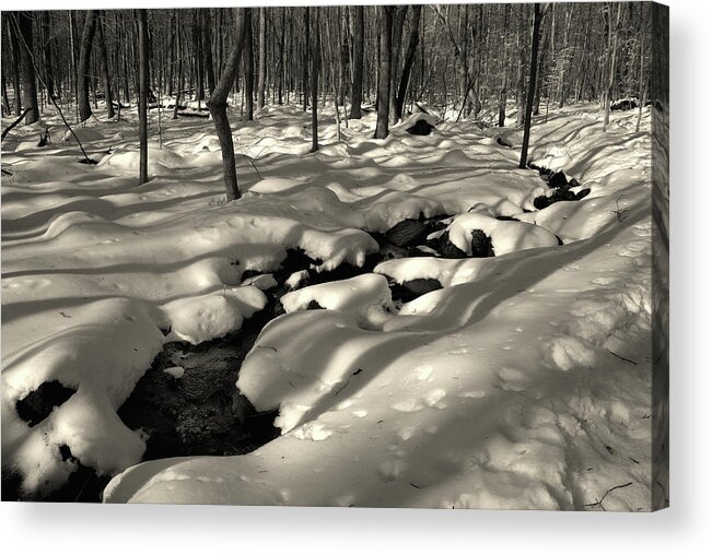 Sourlands Acrylic Print featuring the photograph Sourland Mountains 4 by Steven Richman