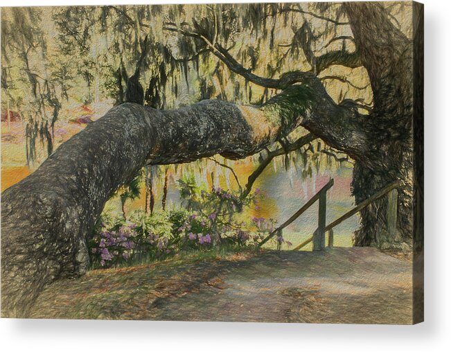  Nature Acrylic Print featuring the photograph Southern Charm by Jim Cook