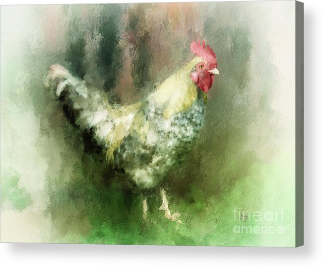 Chicken Acrylic Print featuring the digital art Spring Chicken by Lois Bryan