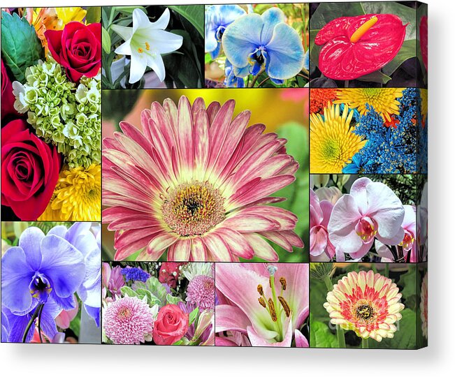 Spring Flowers Acrylic Print featuring the photograph Spring Floral Collage by Janice Drew